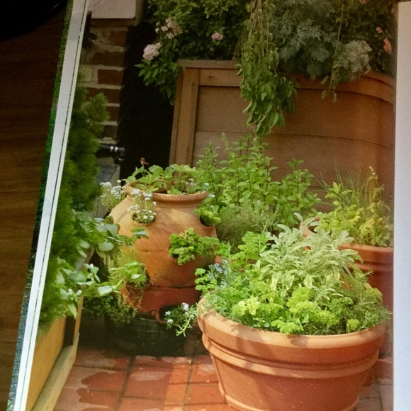 Practical Small Gardens, by Peter McHoy - Picture 5 of 5